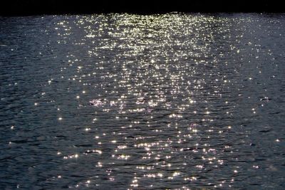 View of water in water