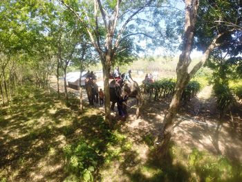 People in park against sky