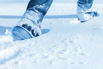 Low section of person on snow covered land