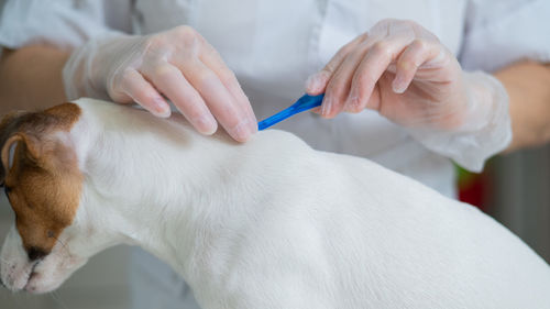 Midsection of doctor examining patient