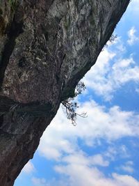 Low angle view of rock hanging from tree against sky