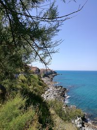 Scenic view of sea against clear blue sky