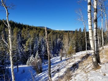Scenic view of snow covered land against clear blue sky