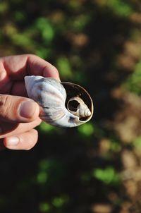 Close-up of hand holding leaf