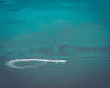 View of turtle swimming in sea