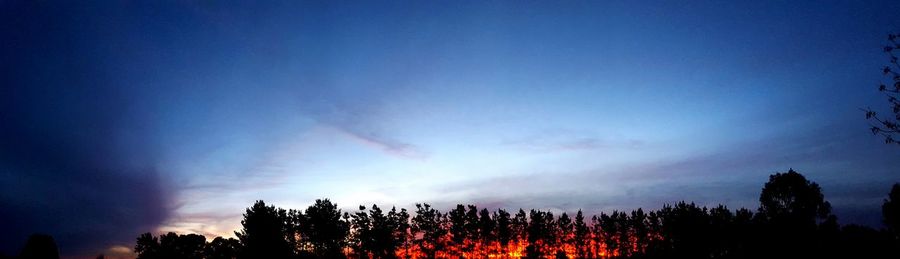 Silhouette trees in forest against sky