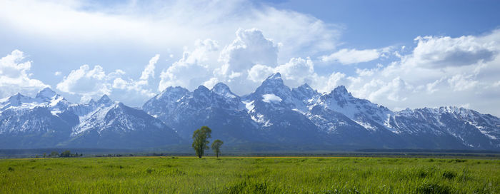 Scenic view of field and mountains against sky