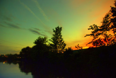 Silhouette of trees at sunset