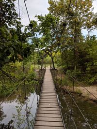 Footbridge amidst trees in forest against sky