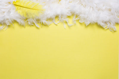 Close-up of feather on yellow wall