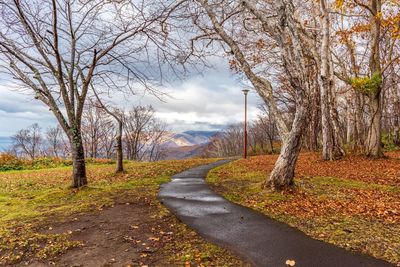 Road amidst trees against sky during autumn
