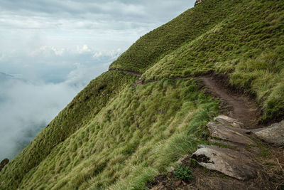 Scenic view of landscape against sky