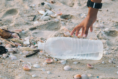 Low section of person on shore at beach