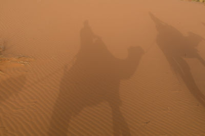 Shadow of people on sand at beach during sunset