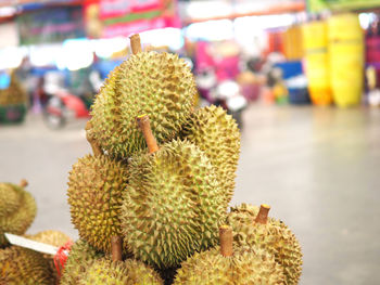 Close-up of succulent plant for sale in market