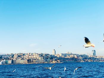 Seagull flying over sea against sky