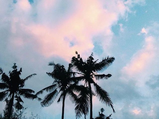 palm tree, sky, tree, cloud - sky, low angle view, silhouette, beauty in nature, tranquility, cloudy, nature, scenics, growth, sunset, cloud, tranquil scene, coconut palm tree, tree trunk, outdoors, idyllic, no people