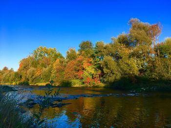 Scenic view of lake by trees against clear blue sky