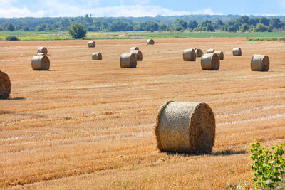 Large bales of straw are scattered against a wide field and a clouded green horizon after harvest.