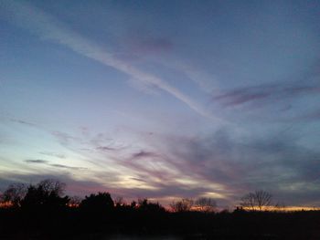 Silhouette of trees at sunset