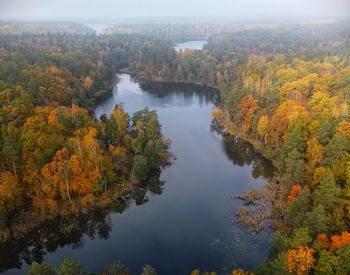 High angle view of river amidst trees during autumn