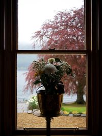 Flowers on window sill