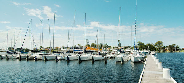 Boats moored in harbor