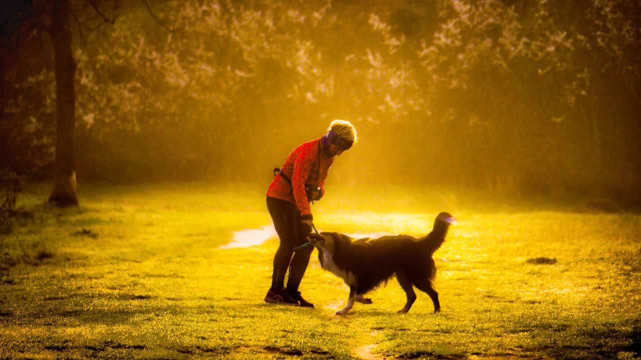 sunset, dog, pets, child, one animal, full length, beauty in nature, friendship, nature, people, outdoors, animal themes, one person, adult, mammal