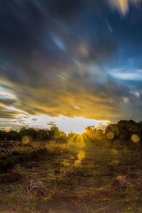 Scenic view of field against sky during sunset