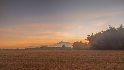 Scenic view of field against sky during sunset