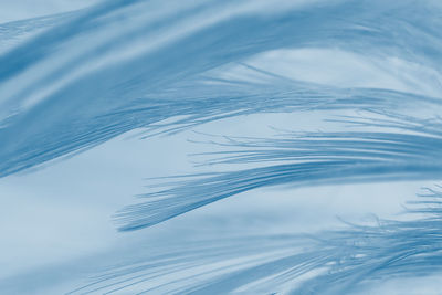High angle view of feather on water against sky