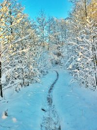 Scenic view of snow covered landscape