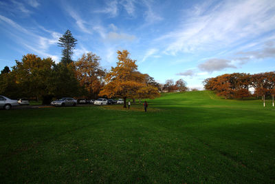 Trees on field against sky