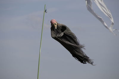 View of a bird flying against the sky