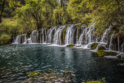 Scenic view of waterfall in forest