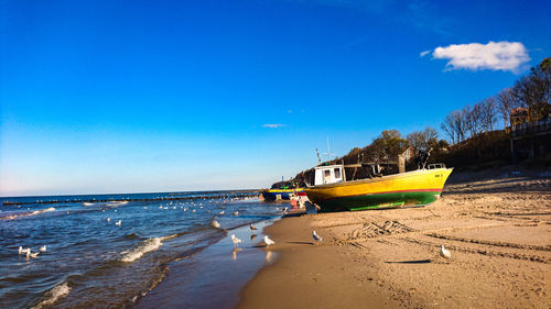 Scenic view of beach against blue sky