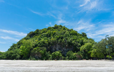 Trees by sea against sky