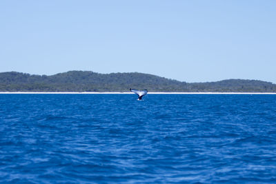 Scenic view of sea against clear blue sky