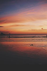 Scenic view of sea during sunset