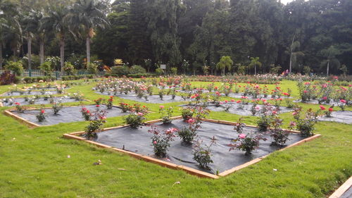 View of formal garden