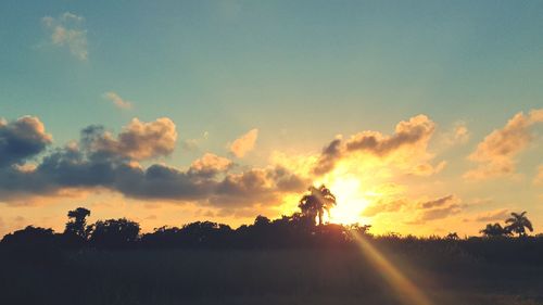 Silhouette trees on field against sky at sunset