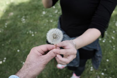 Midsection of couple holding dandelion on field