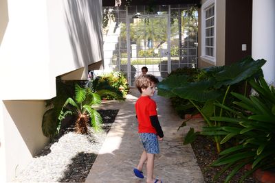 Rear view of boy walking by plants