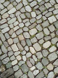 High angle view of cobblestone footpath