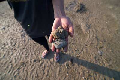 Low section of man on sand at beach