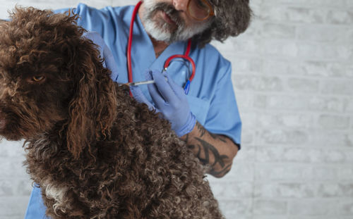 Rear view of woman with dog