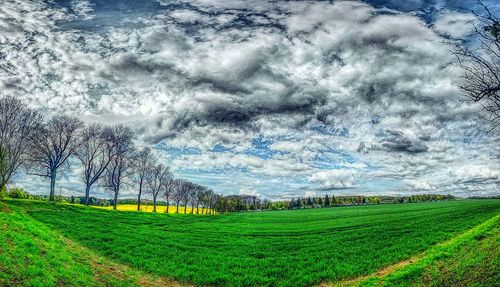 Scenic view of grassy field against cloudy sky