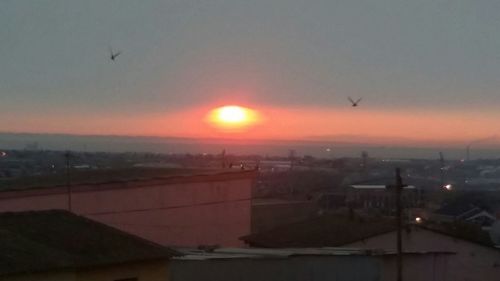 Silhouette of birds flying against sky at sunset