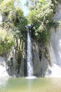 Scenic view of waterfall in forest