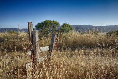 Wooden posts on field against clear sky